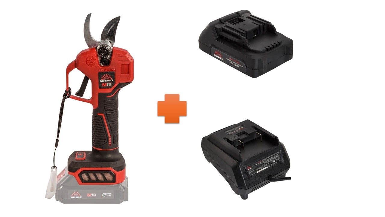 НАБІР акумуляторного секатора (1825) 9981095