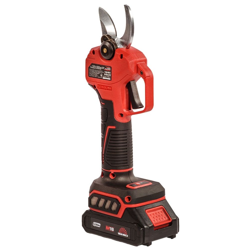 АКЦІЙНИЙ НАБІР Акумуляторного секатора (1825) 9981095