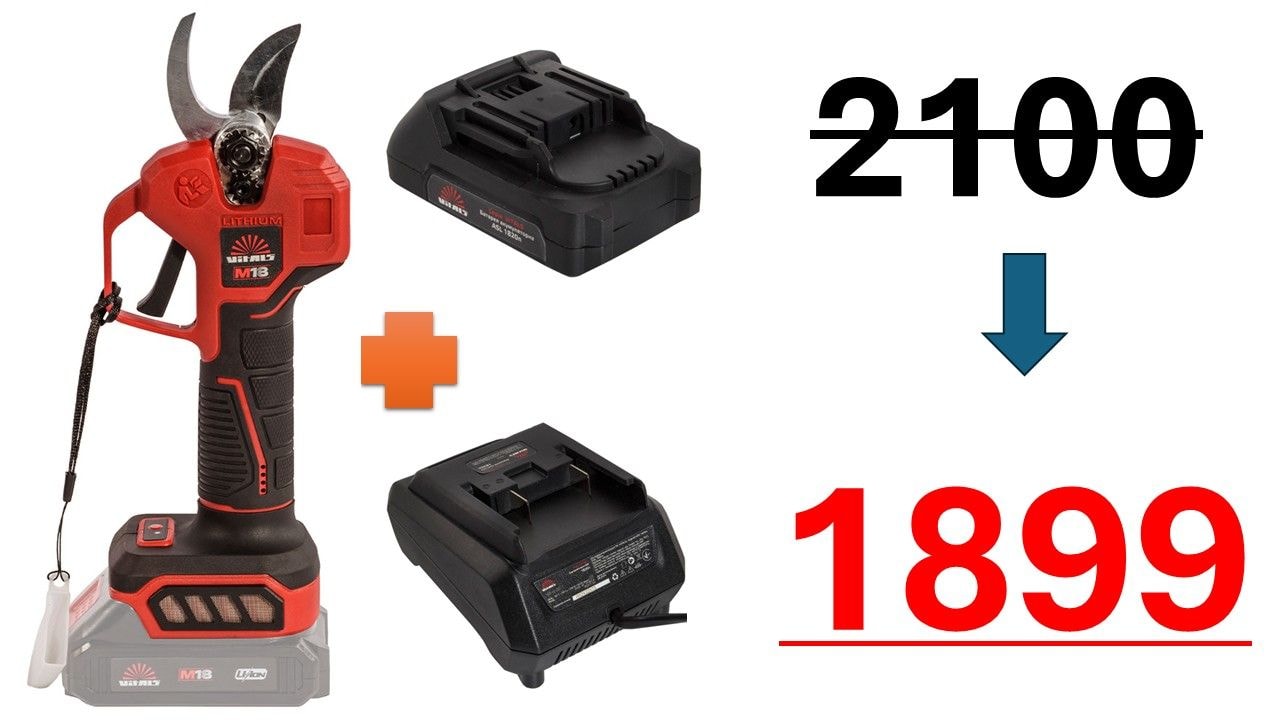 АКЦІЙНИЙ НАБІР Акумуляторного секатора (1825) 9981095